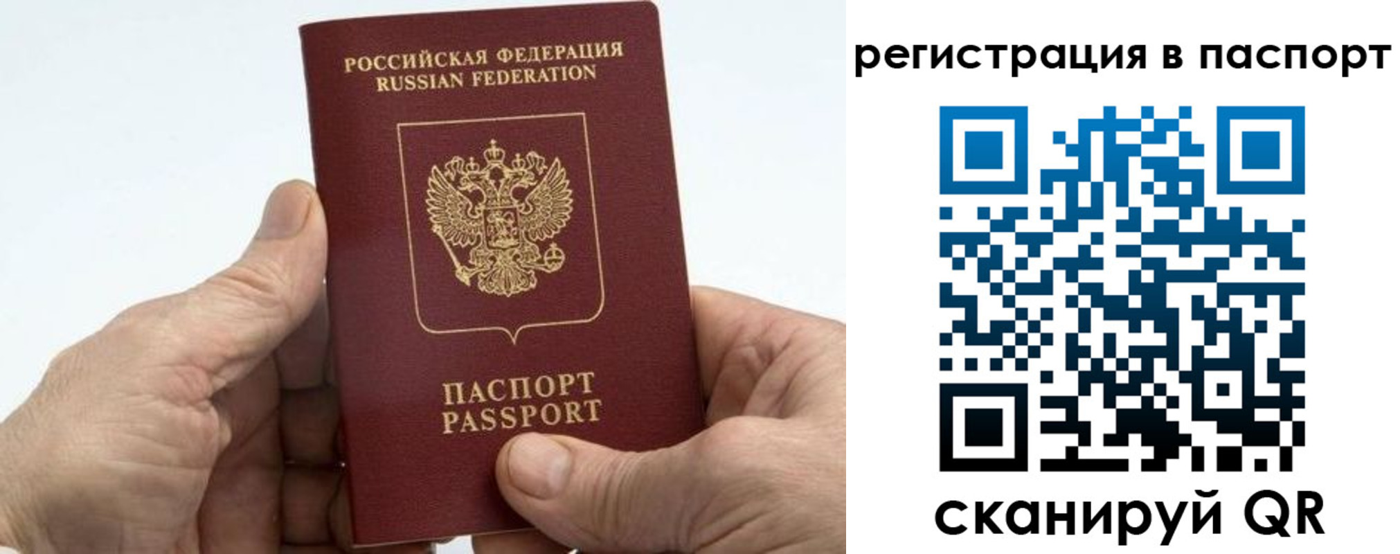 купить прописку в Оленегорске